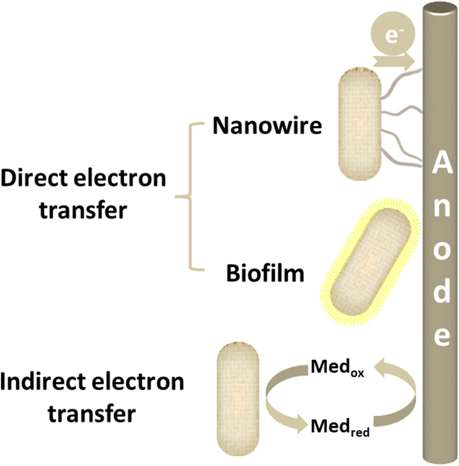 Fig. 1