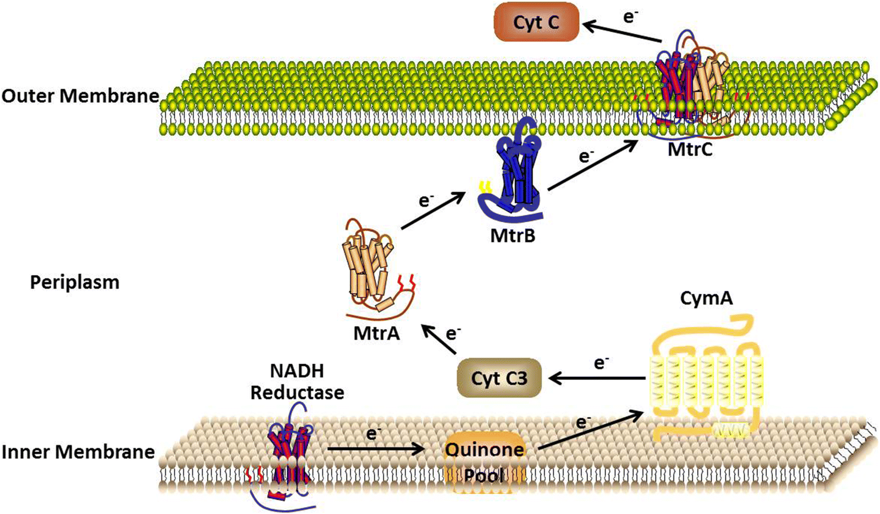 Fig. 4