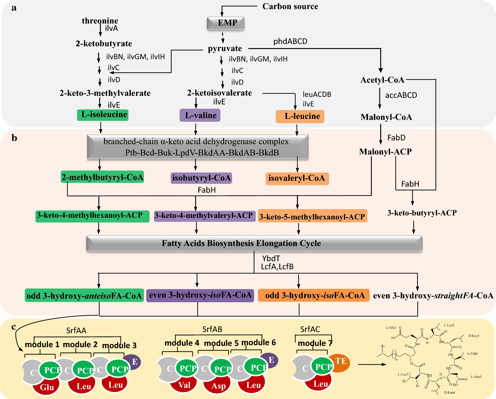 Fig. 2