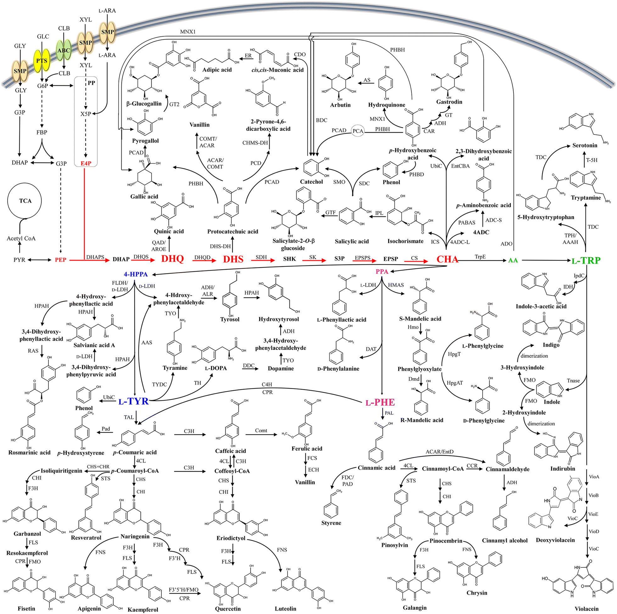 Fig. 1