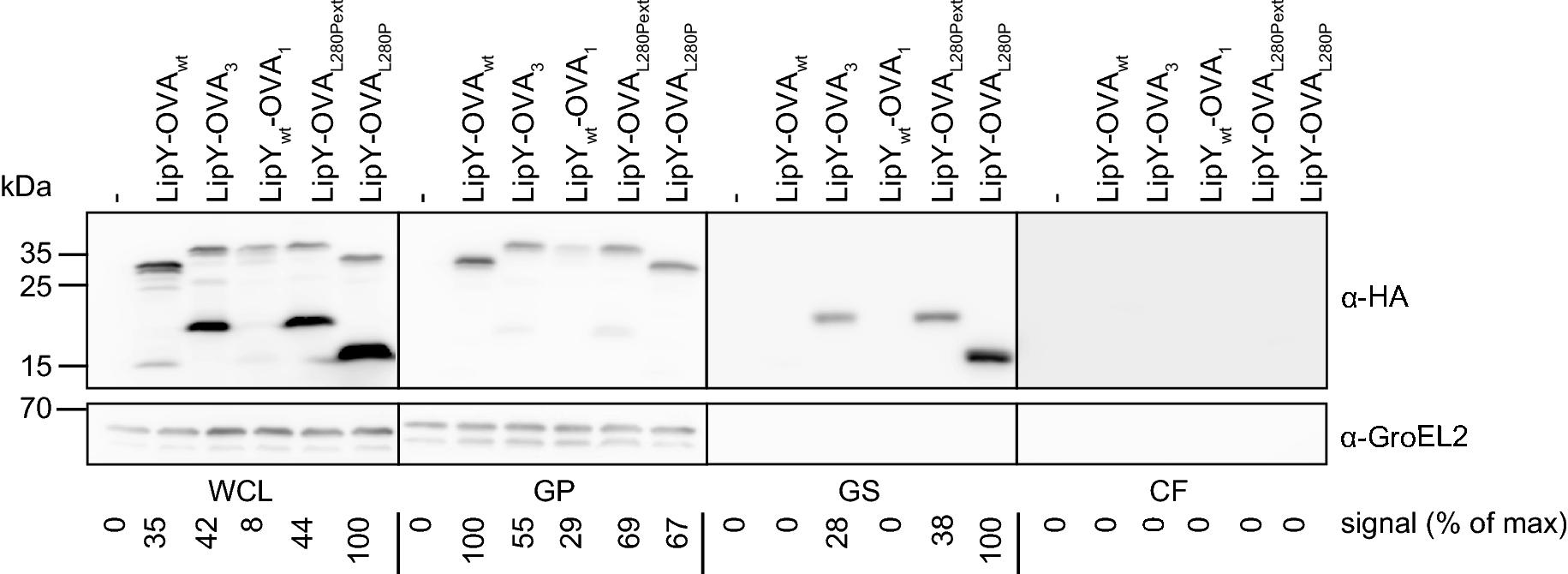 Fig. 4