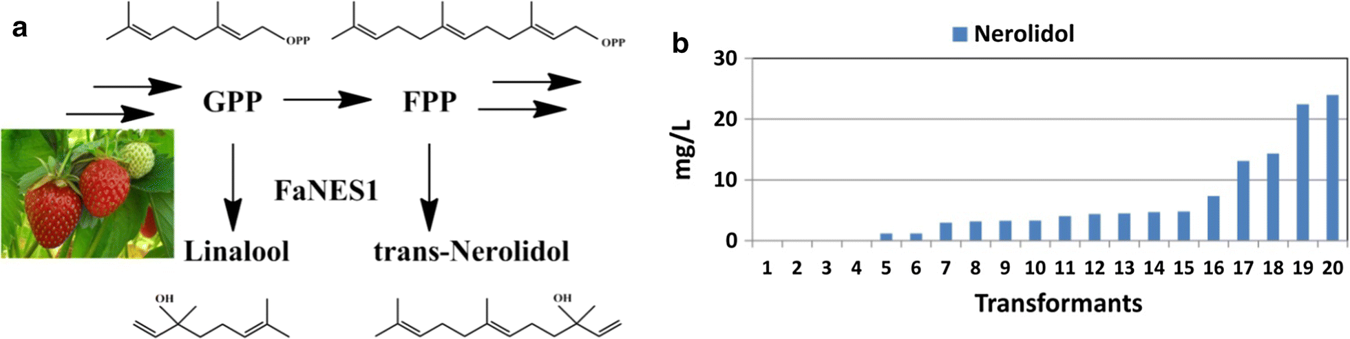 Fig. 4