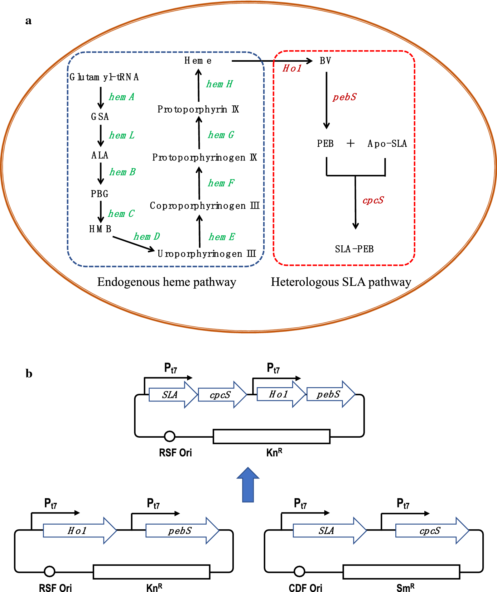 Fig. 1