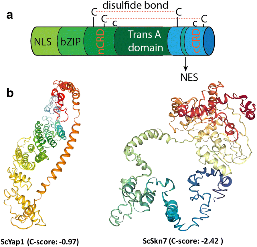 Fig. 4