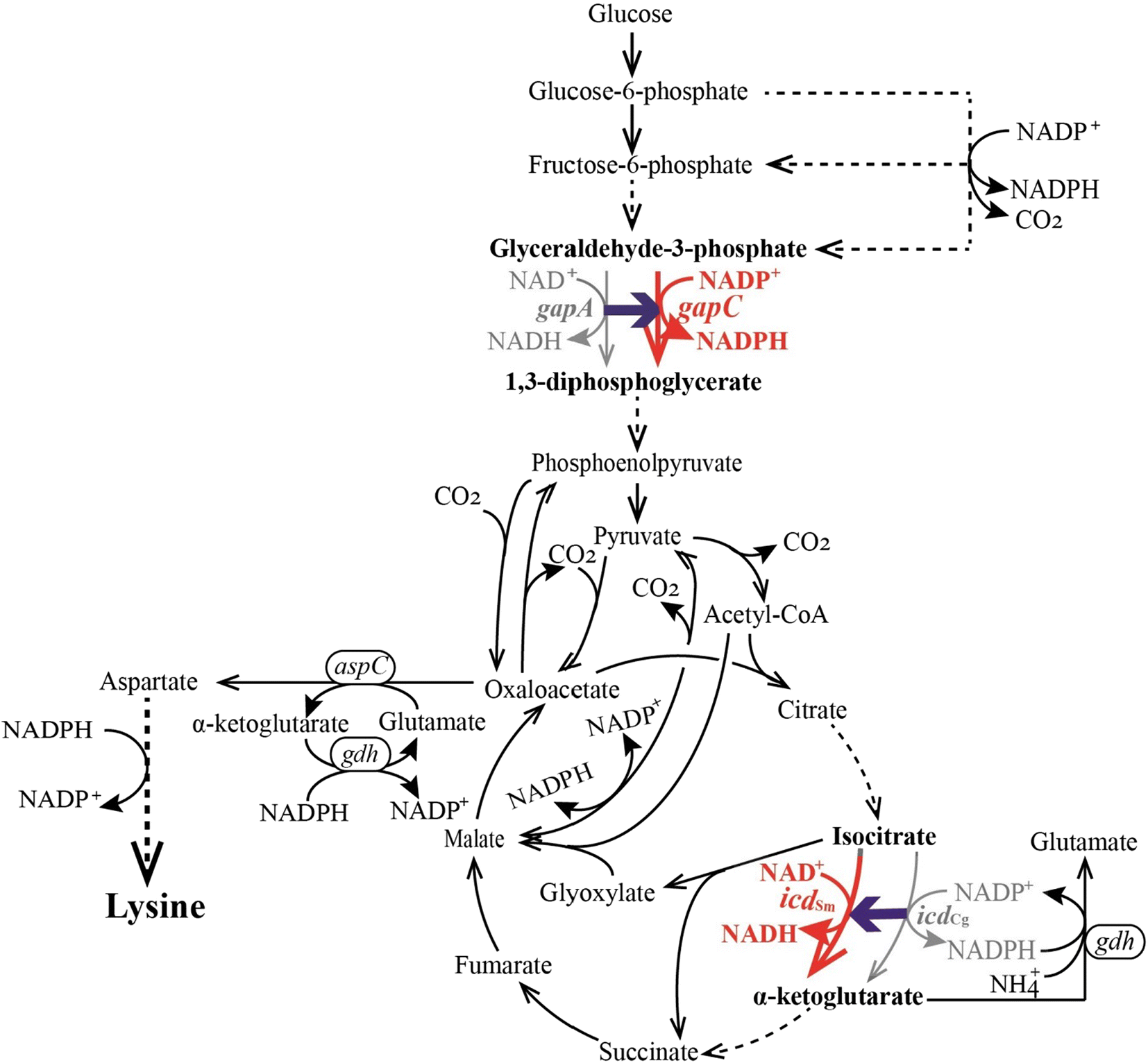 Fig. 1