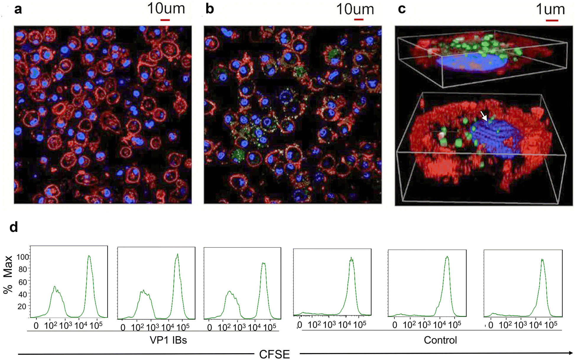 Fig. 3