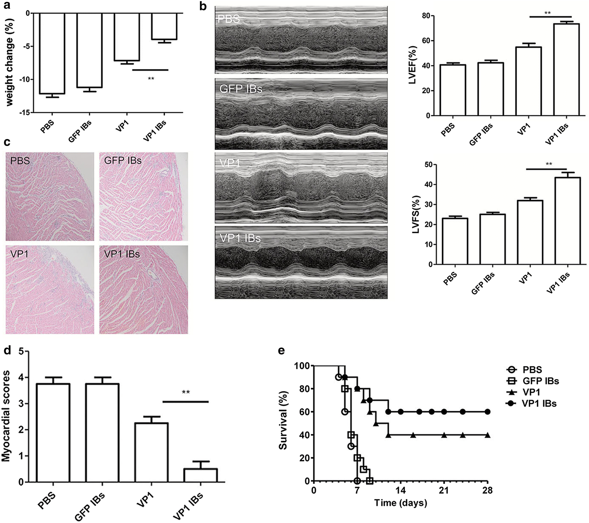 Fig. 6