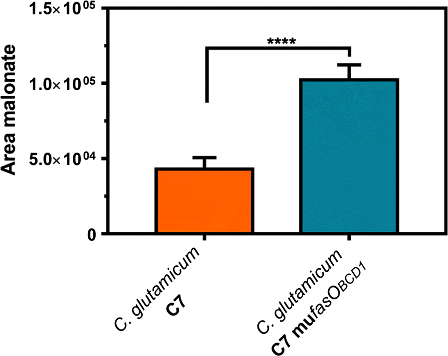 Fig. 4