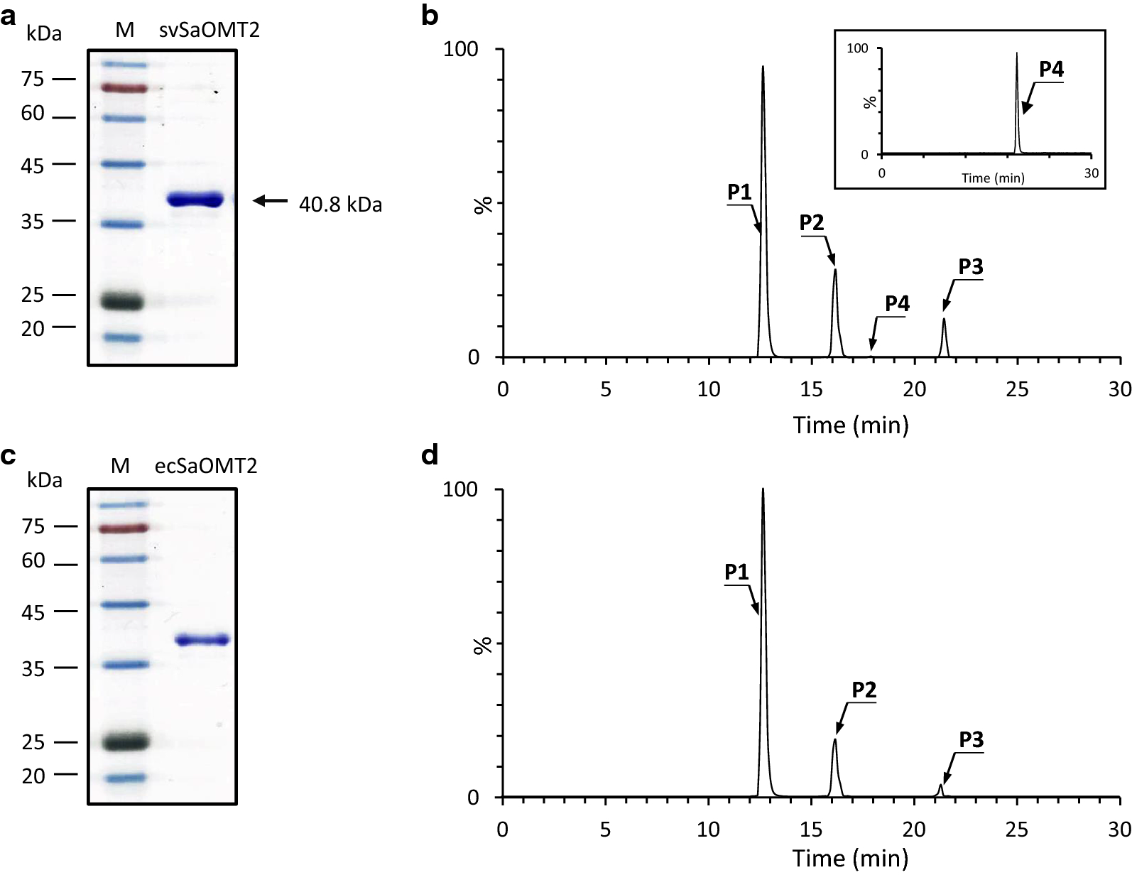 Fig. 3