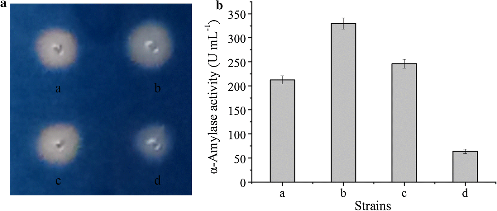 Fig. 2