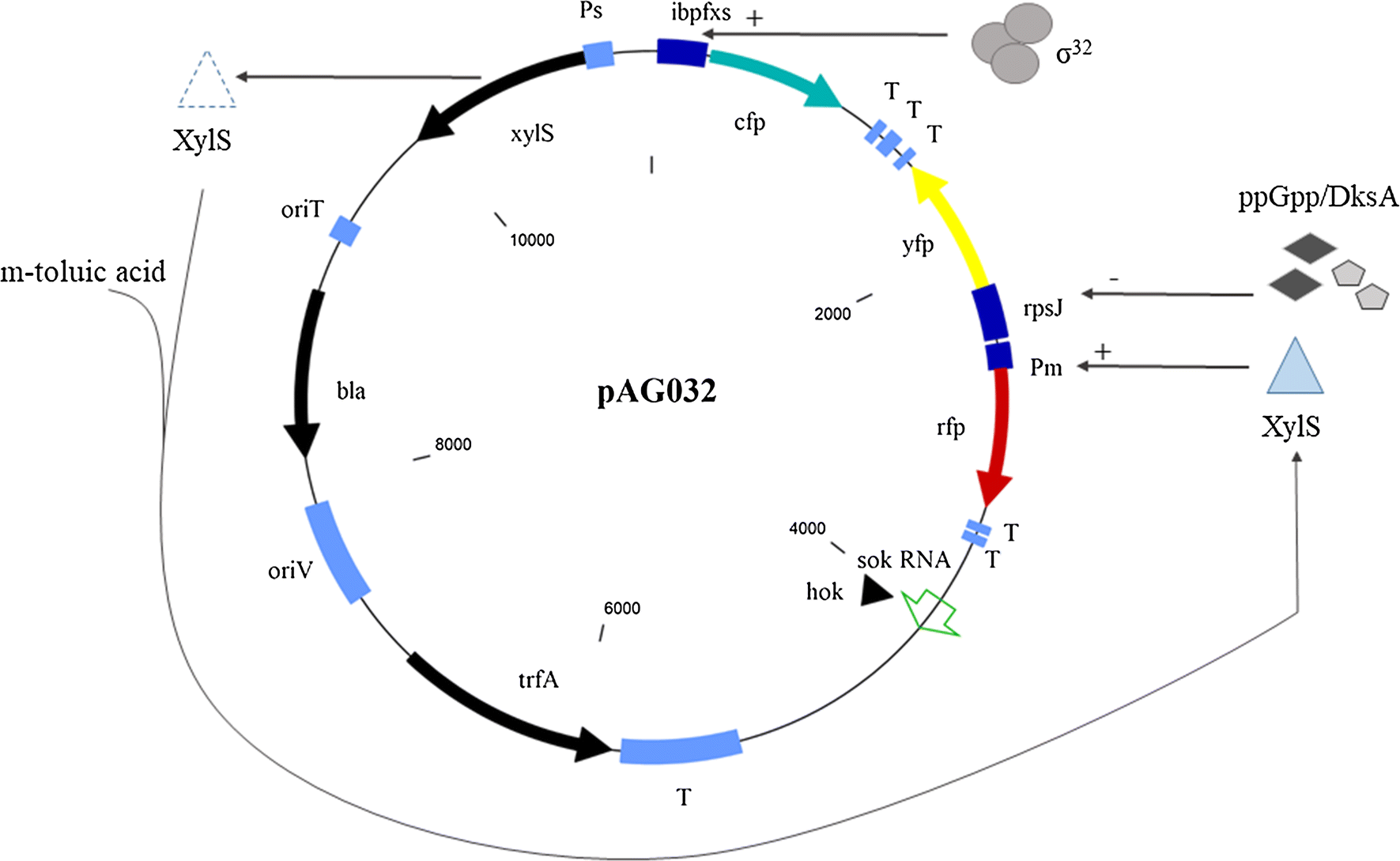 Fig. 1