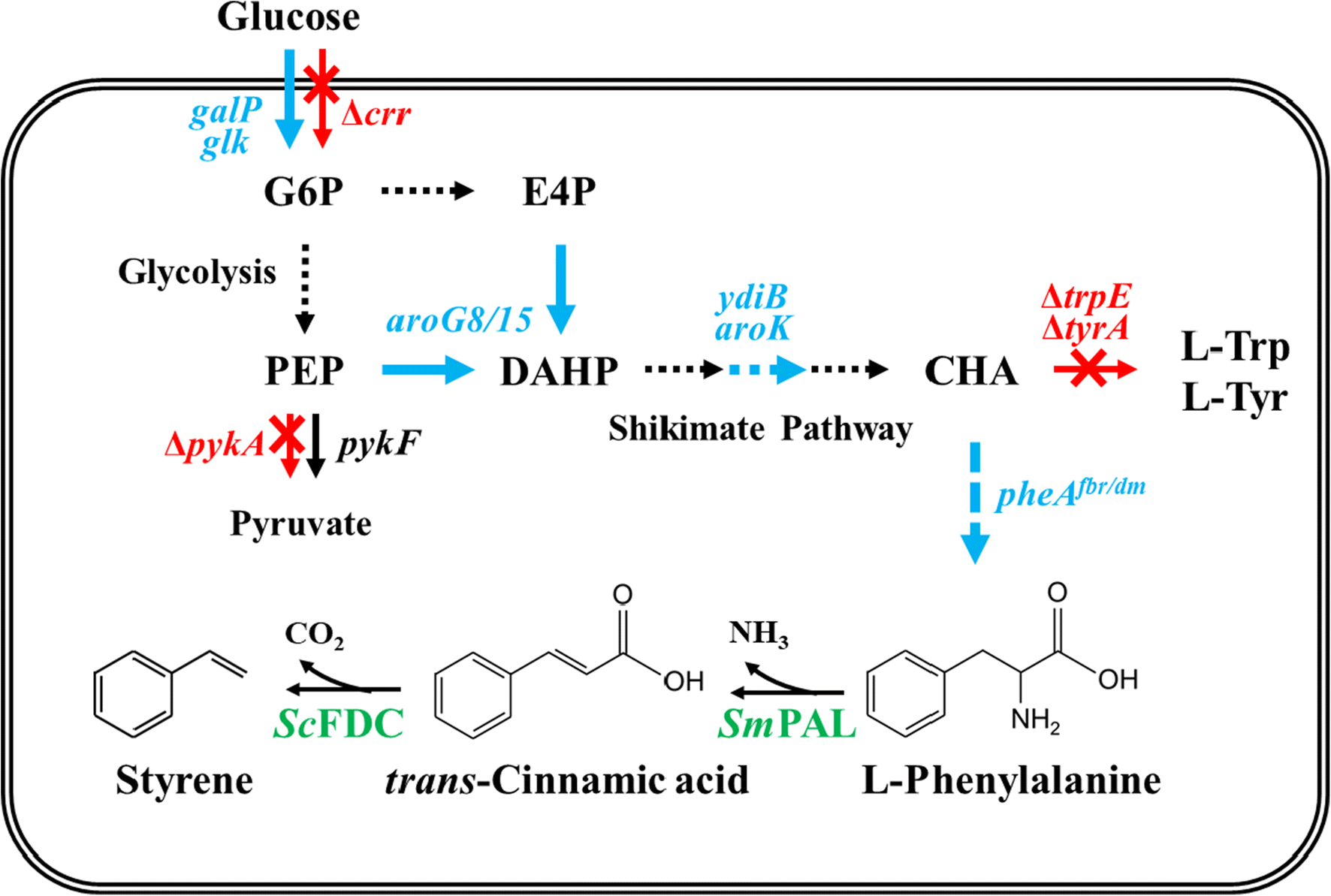 Fig. 1