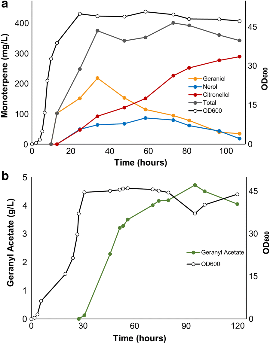 Fig. 4