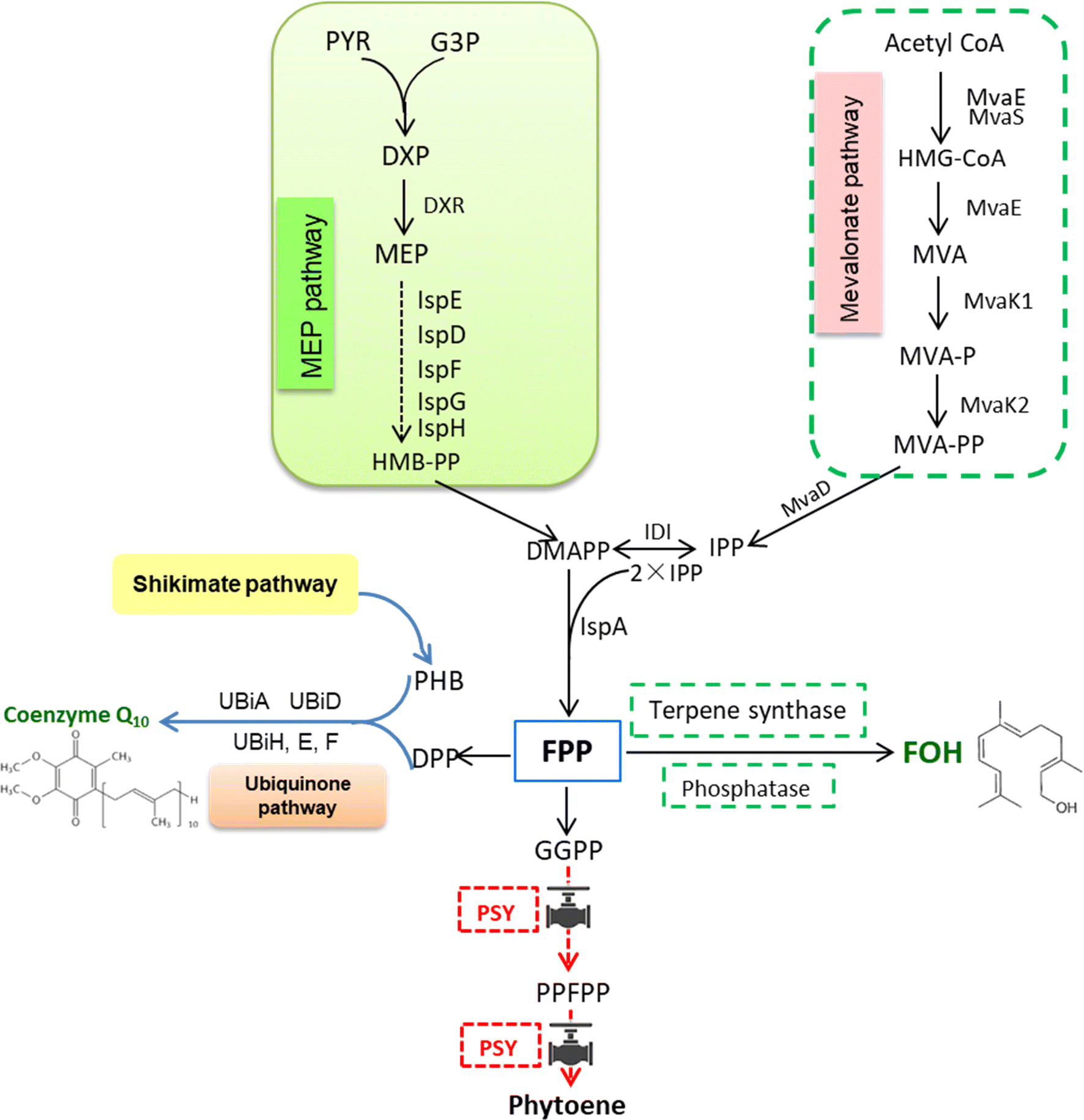 Fig. 1