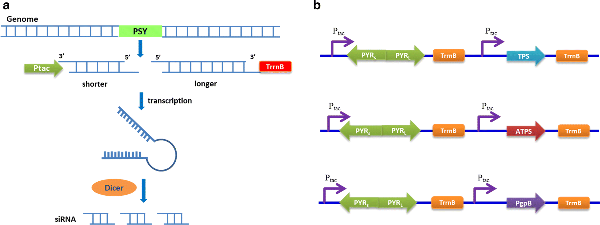 Fig. 2