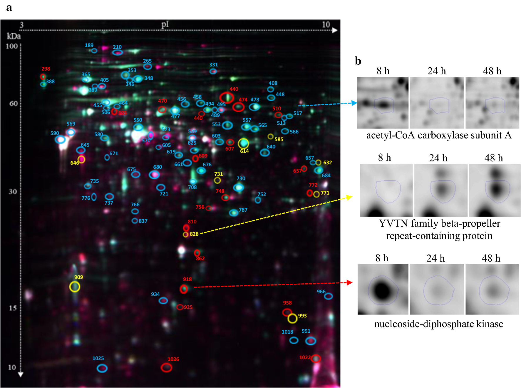 Fig. 3