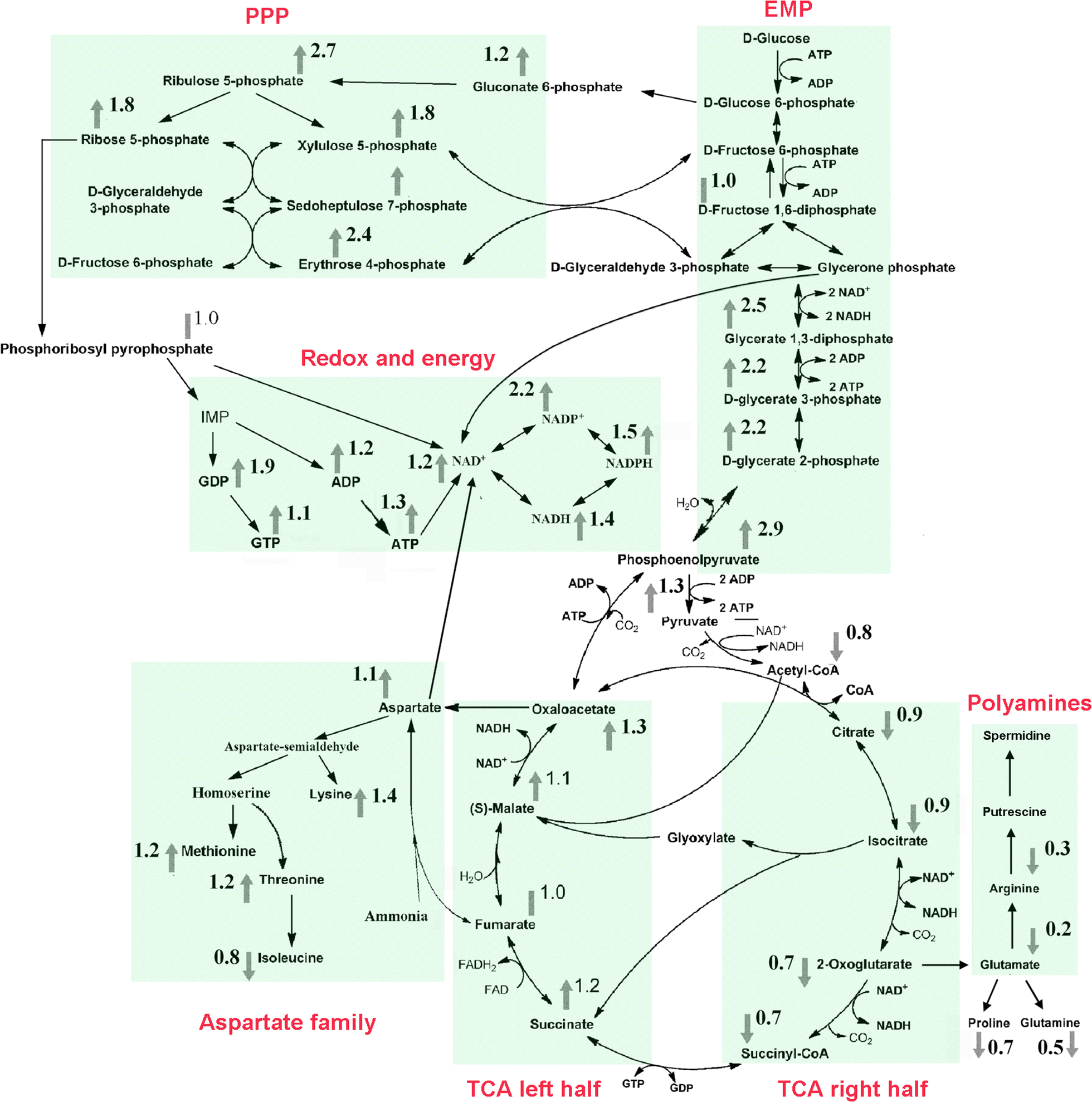 Fig. 5