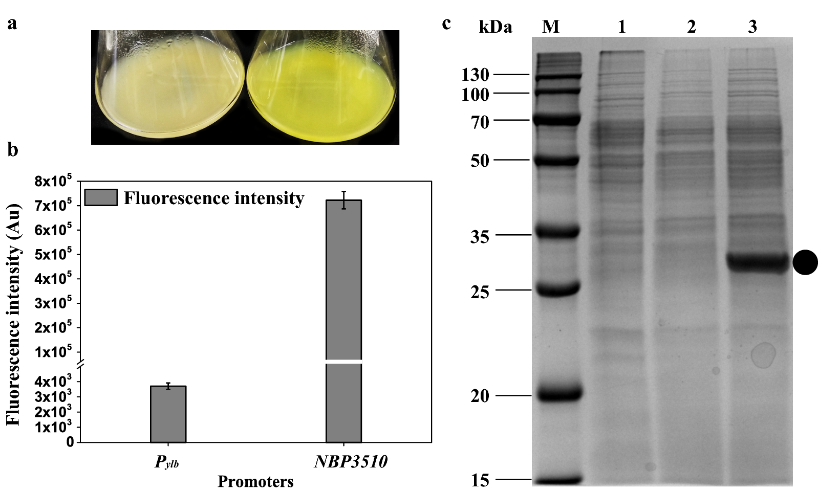 Fig. 4