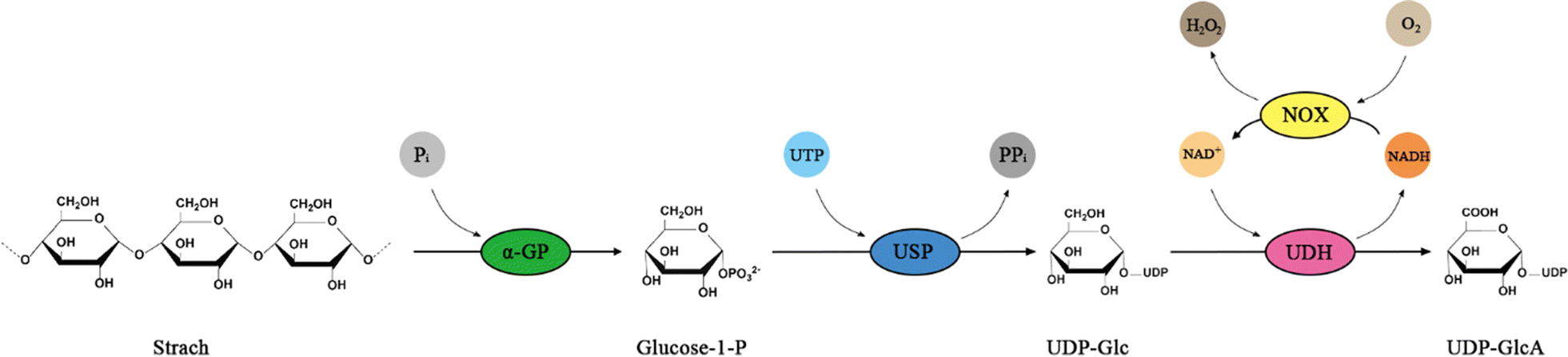 Fig. 1