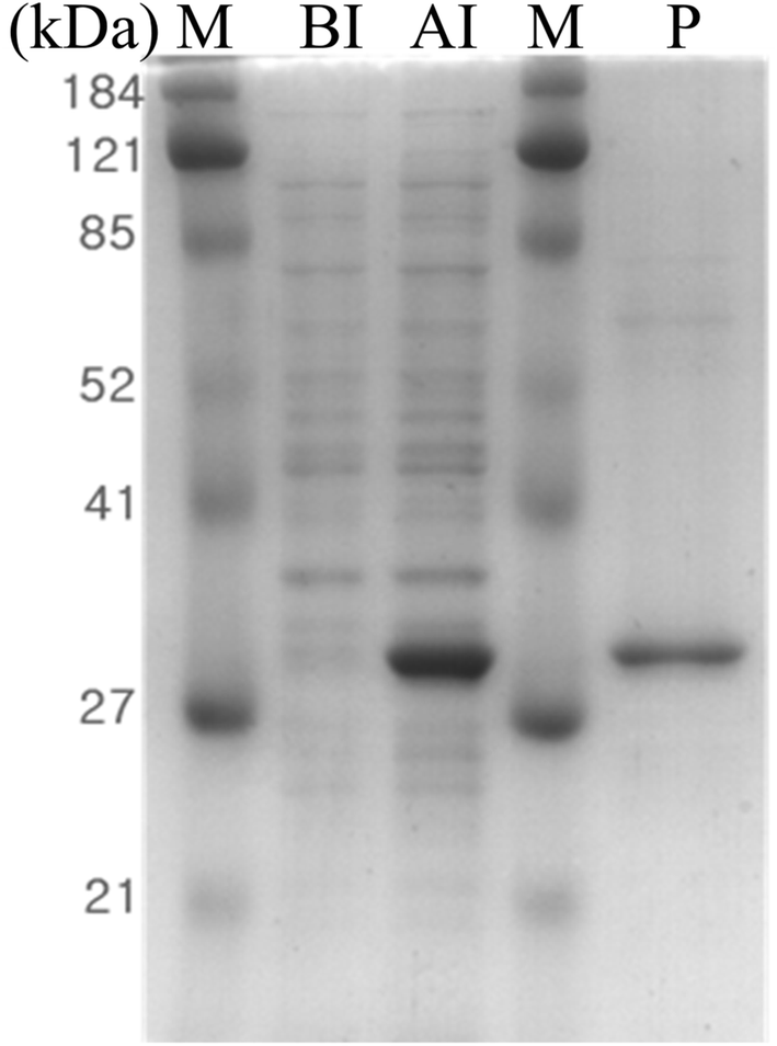 Fig. 2