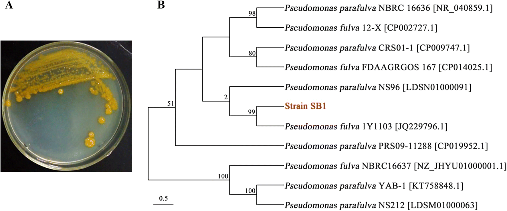 Fig. 3