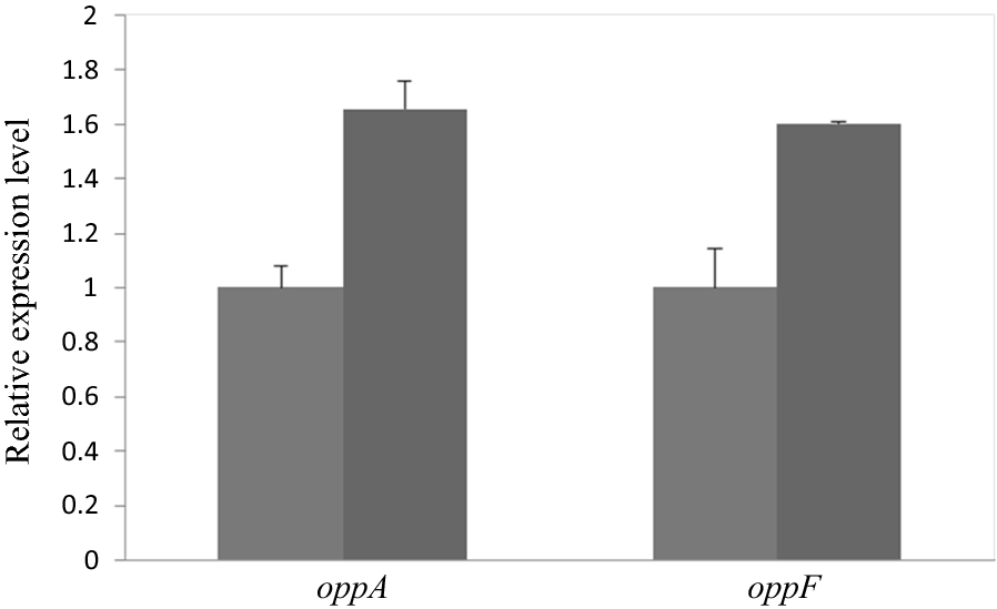 Fig. 2