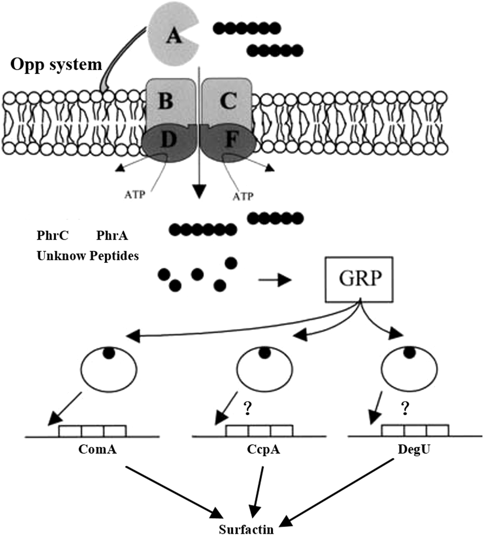 Fig. 3