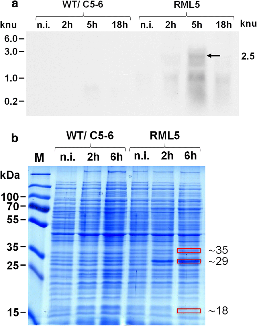 Fig. 3