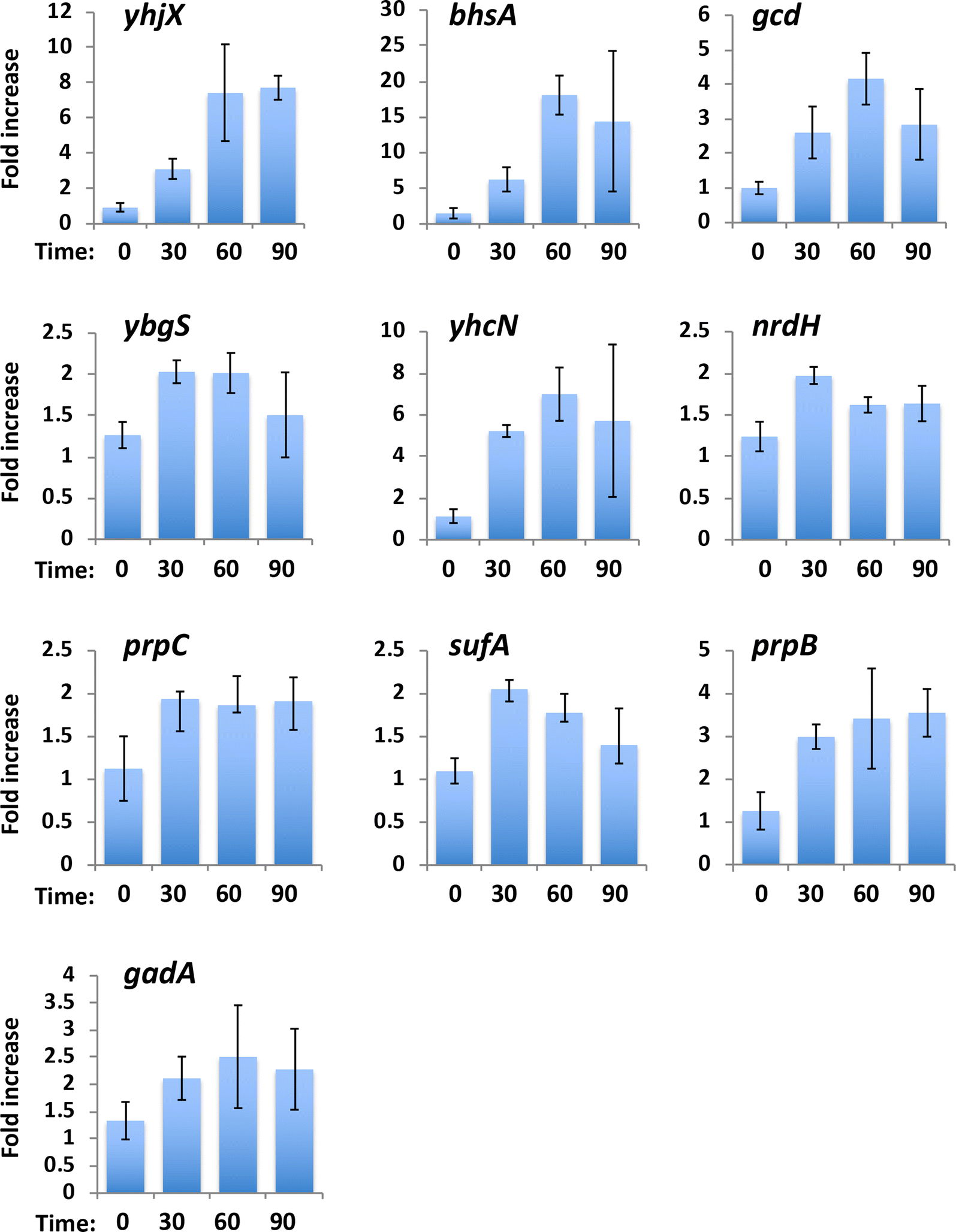 Fig. 2