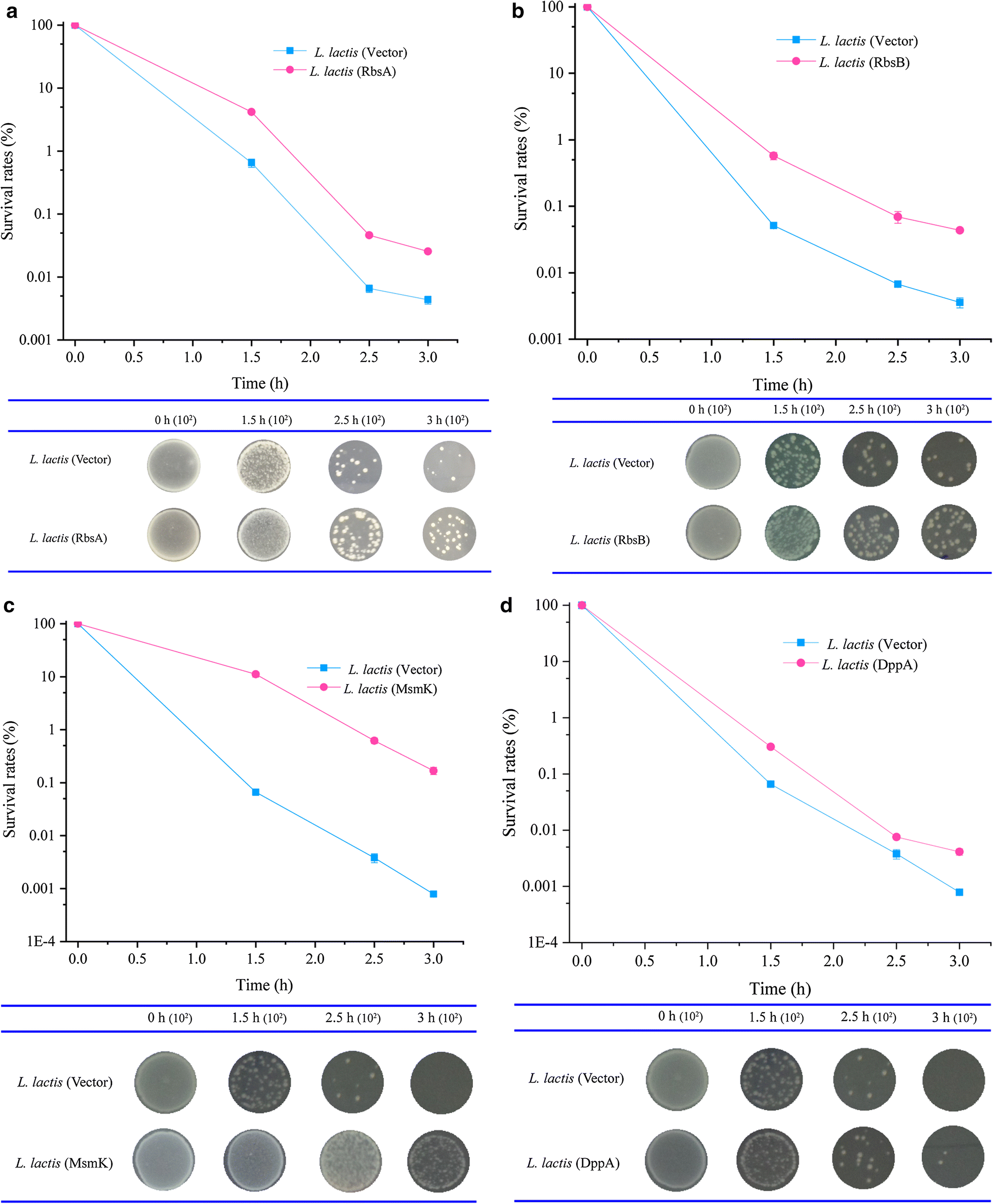 Fig. 1