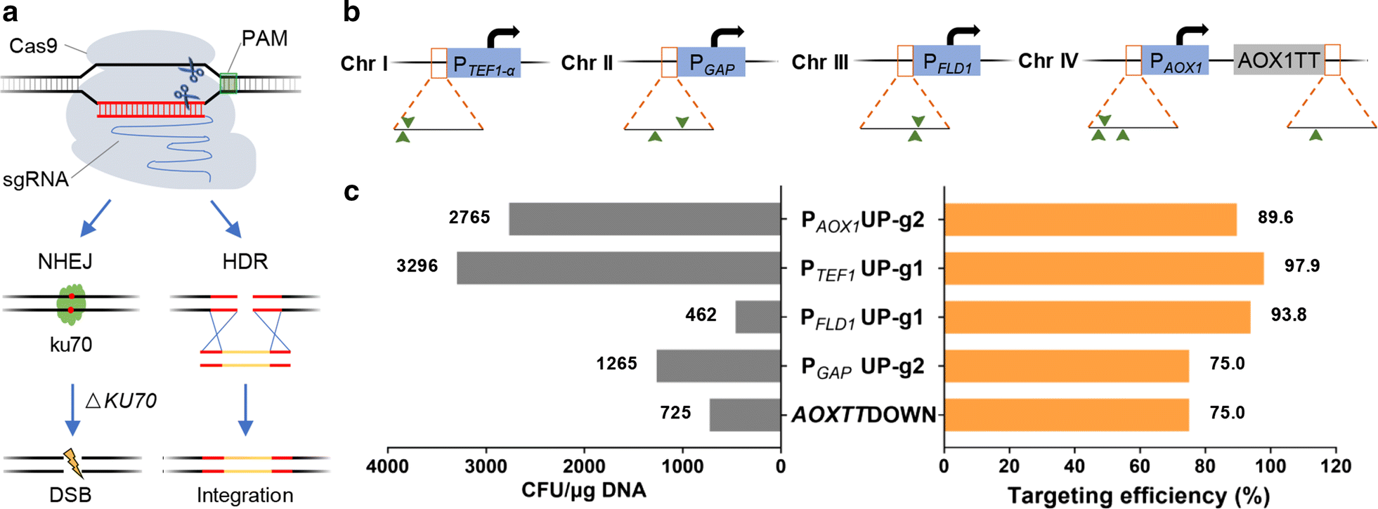 Fig. 1