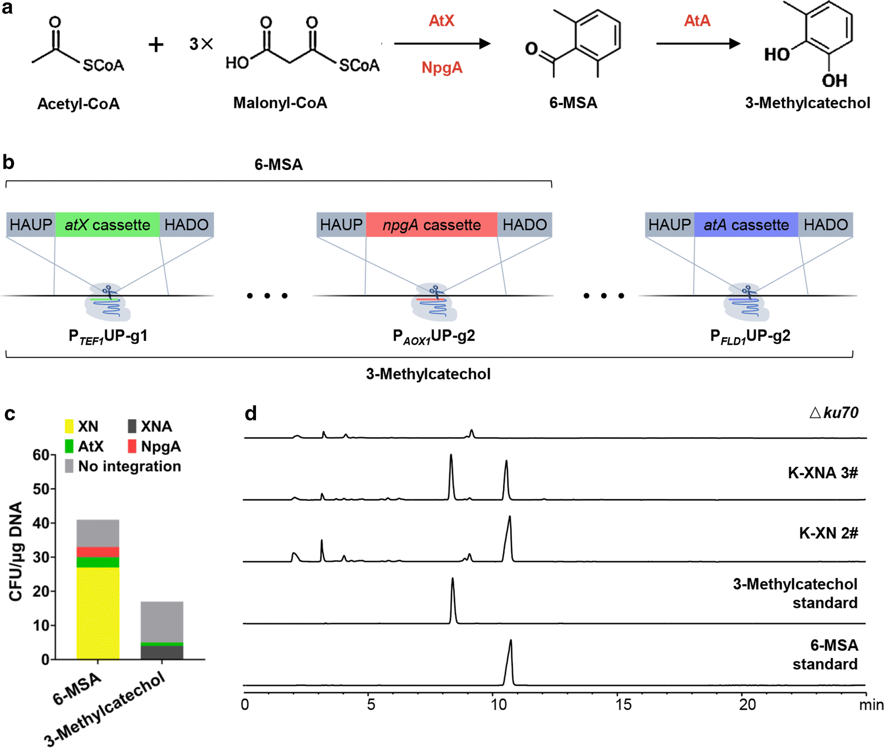 Fig. 3