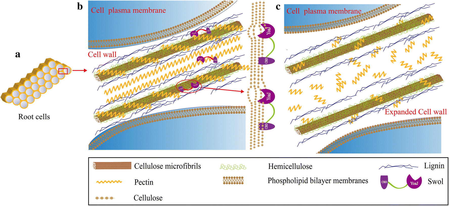 Fig. 7