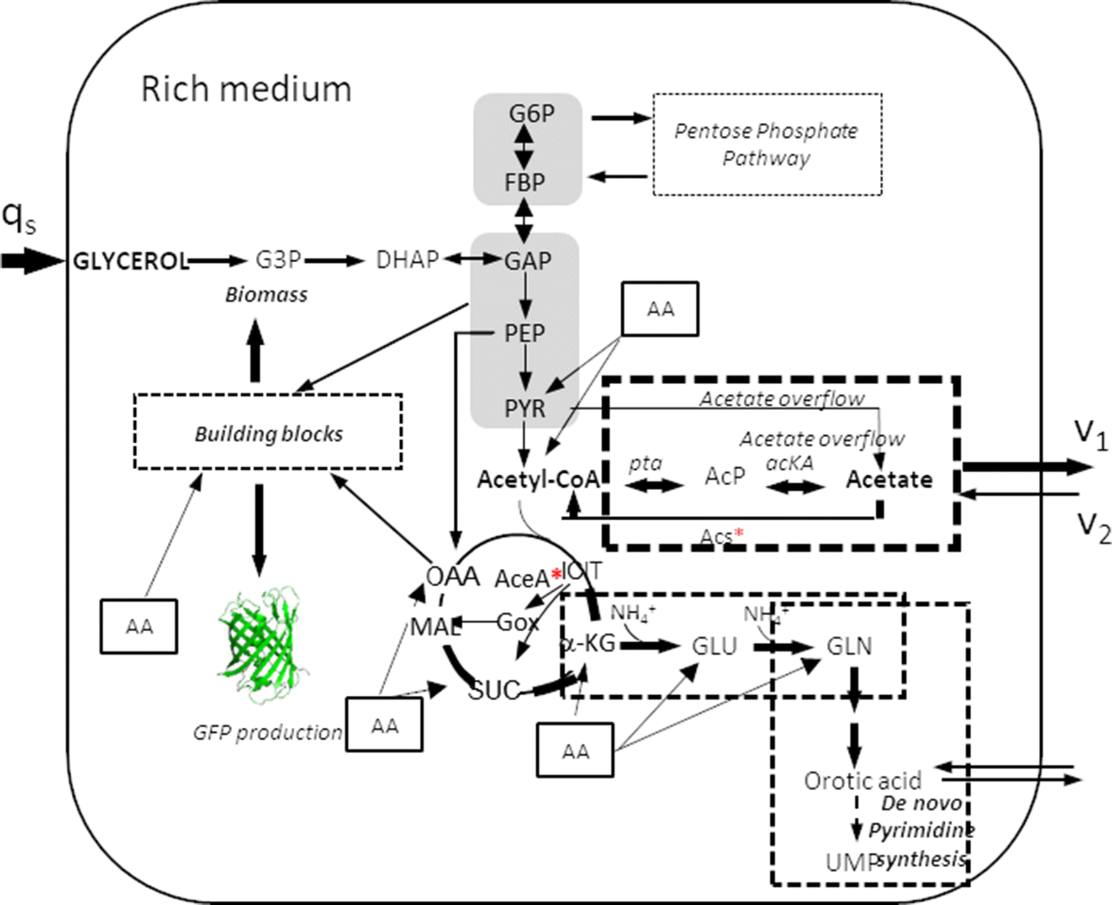 Fig. 10