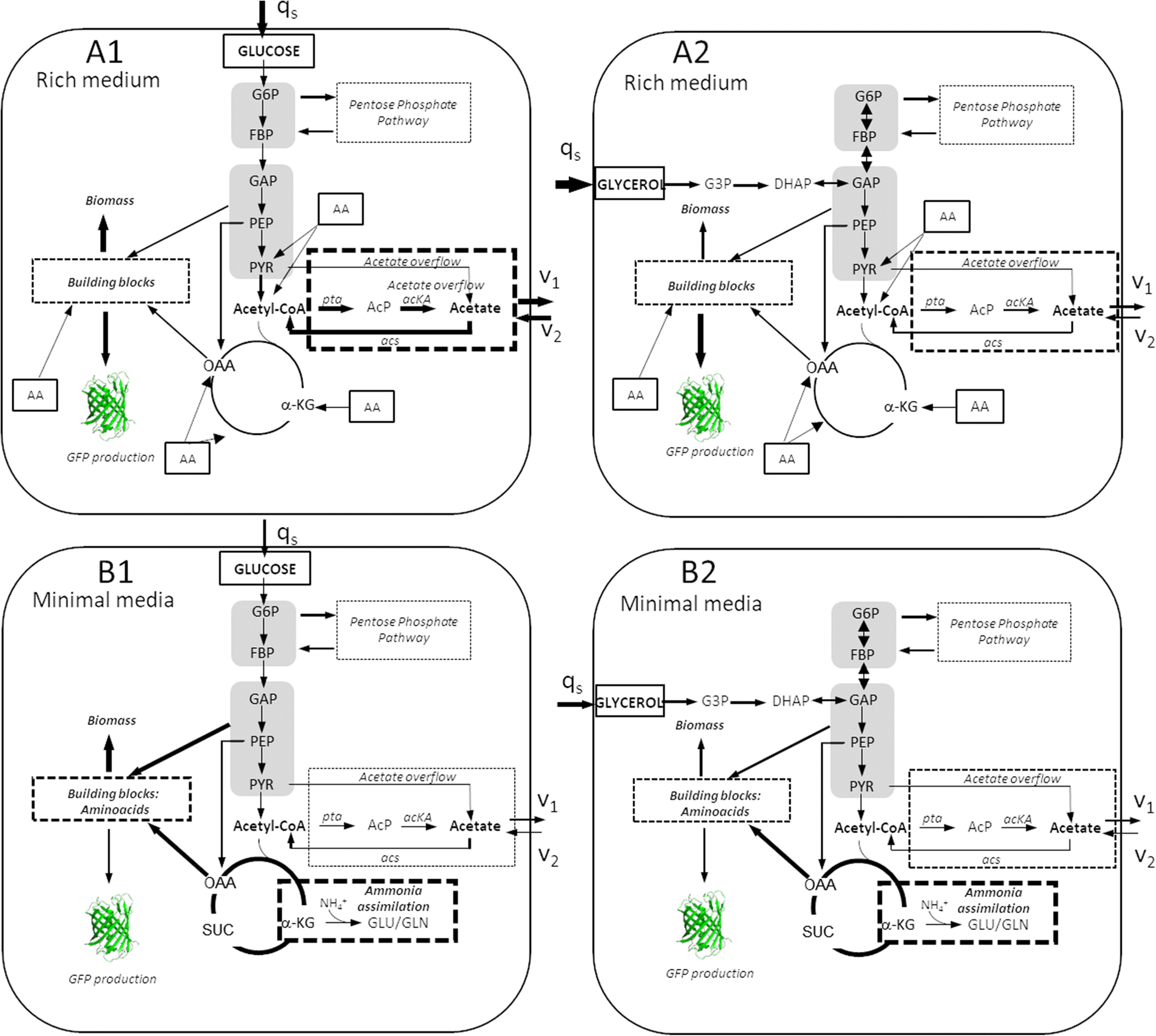 Fig. 9