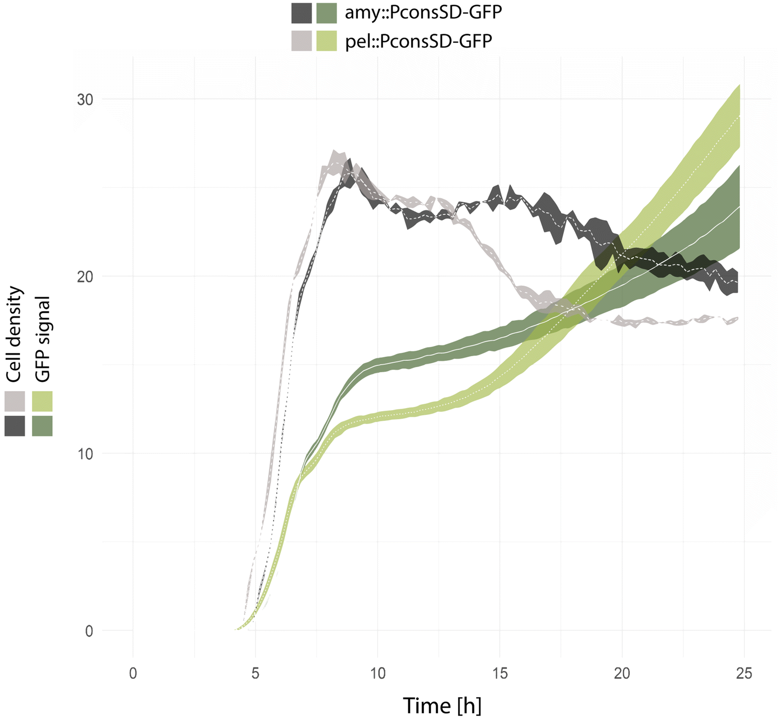 Fig. 3