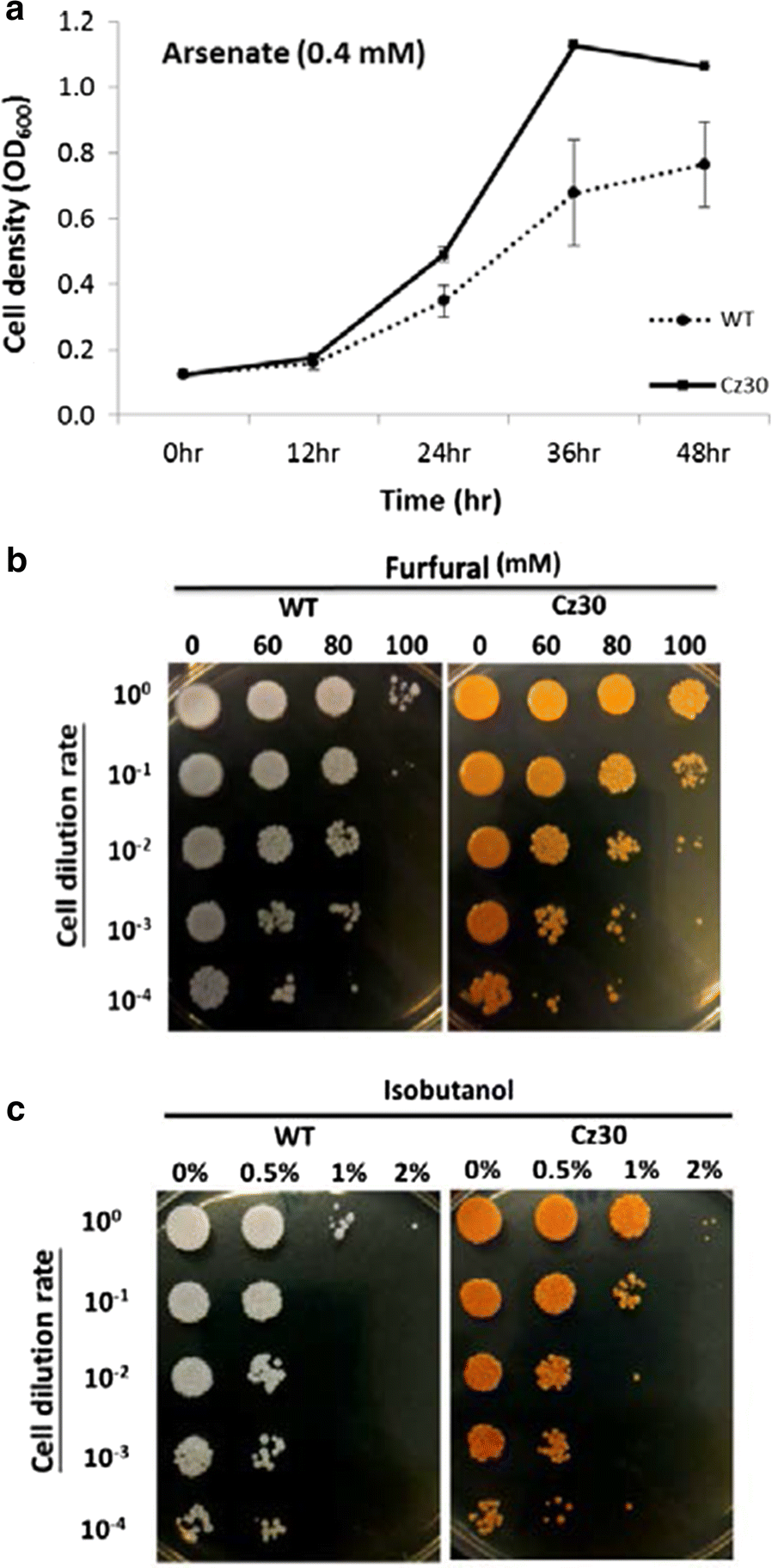 Fig. 4