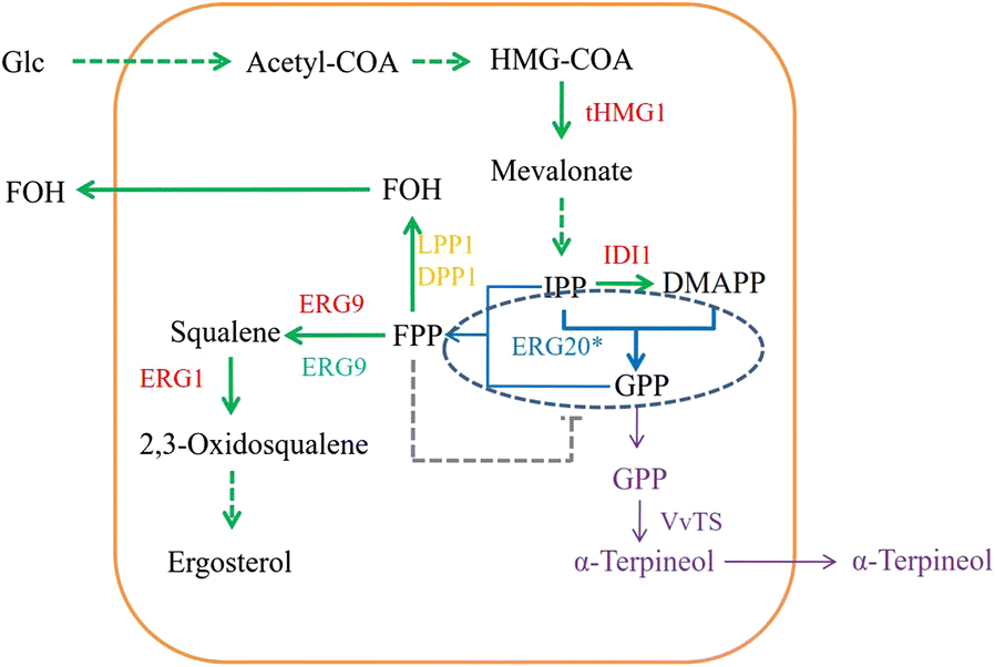 Fig. 1