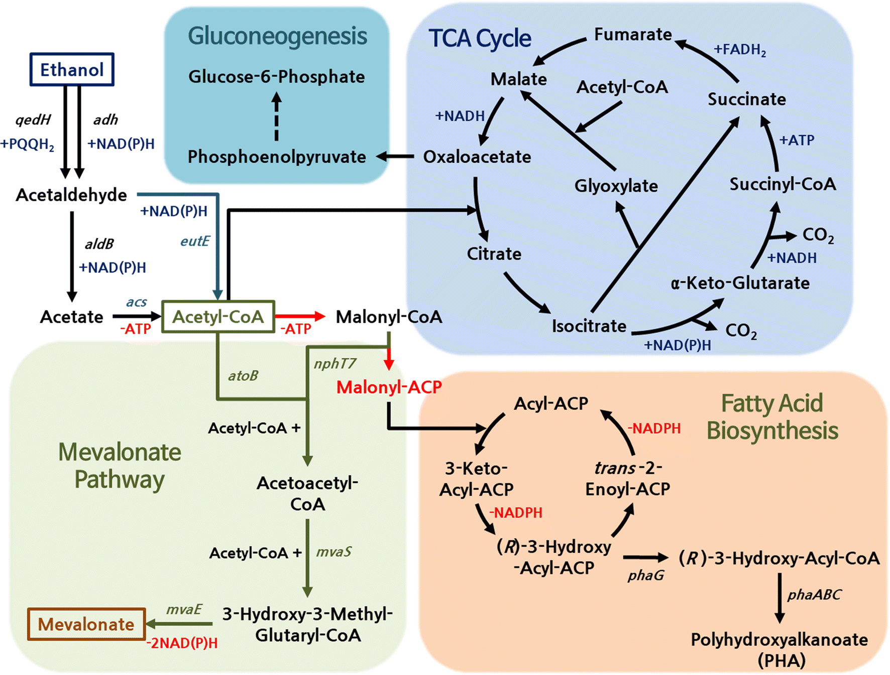 Fig. 1