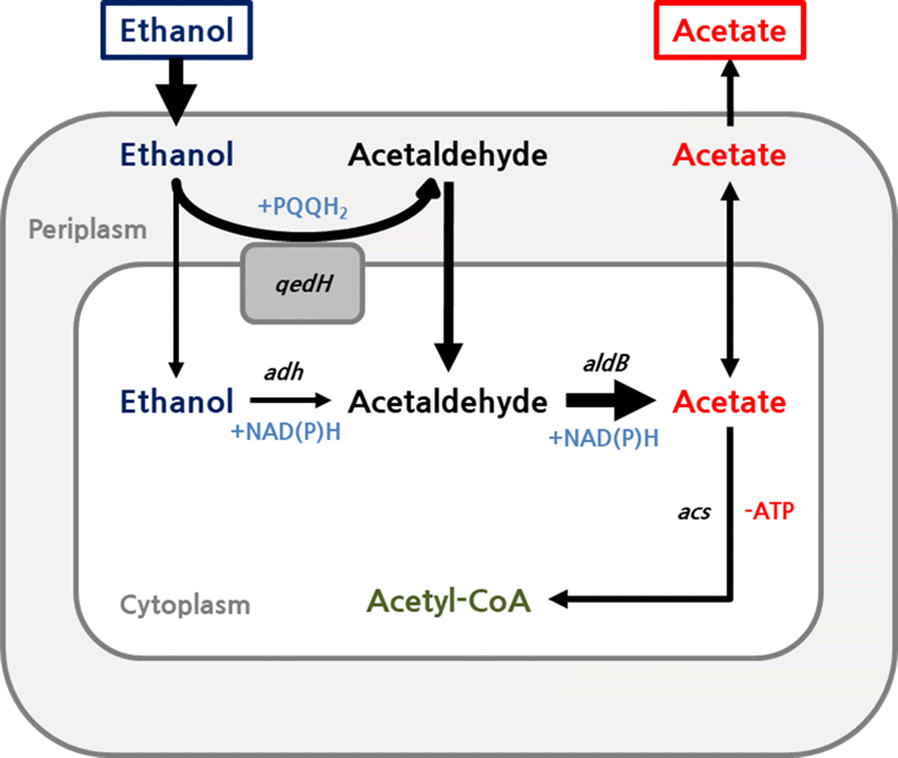 Fig. 5