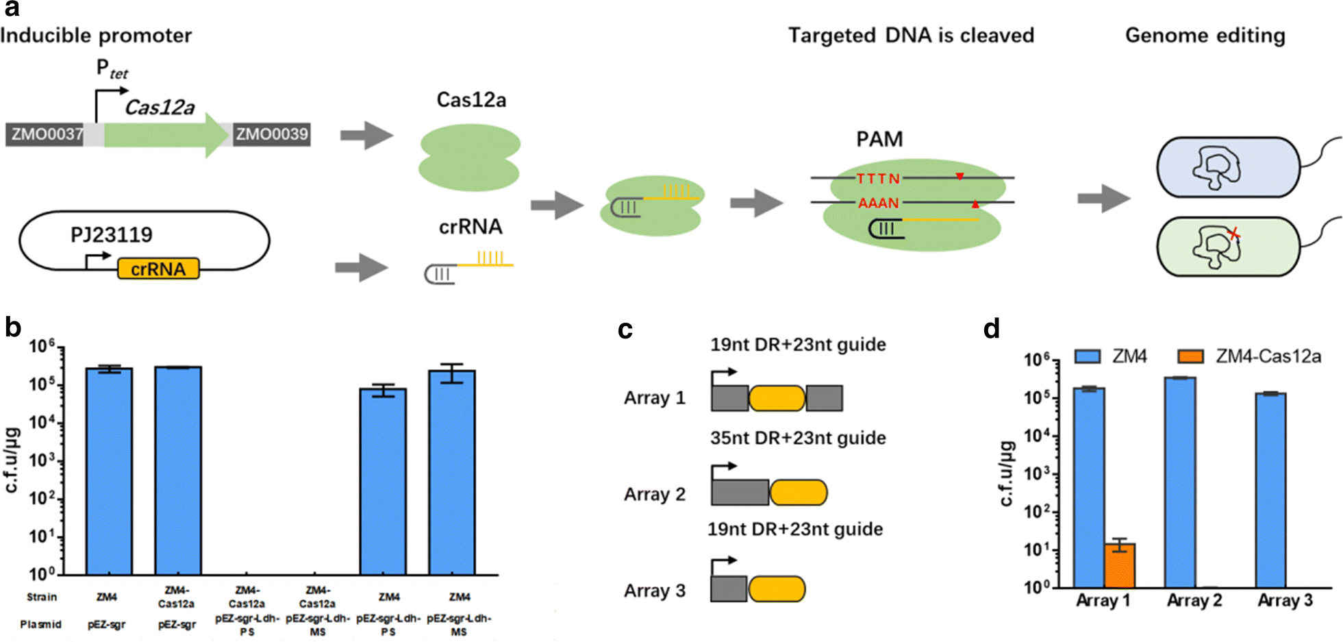 Fig. 1