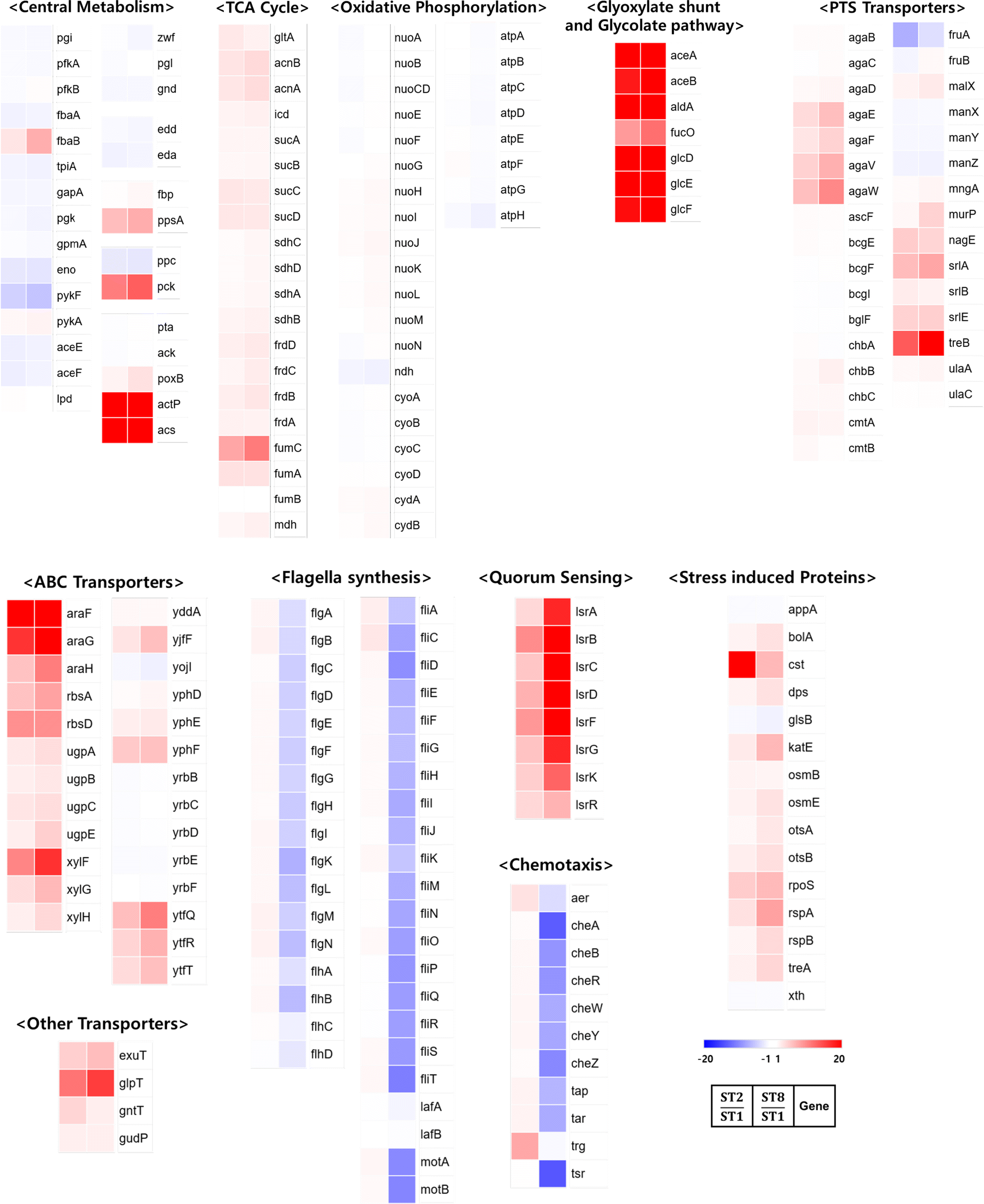 Fig. 2