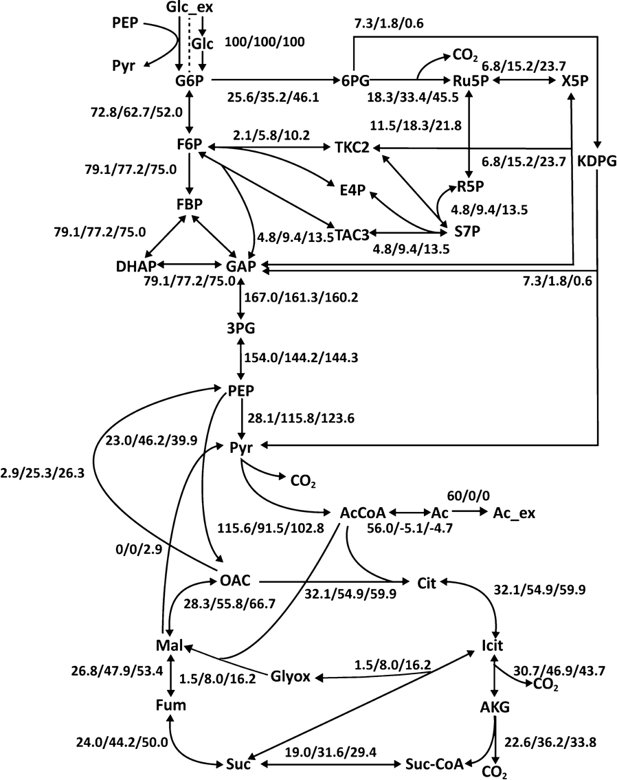 Fig. 3