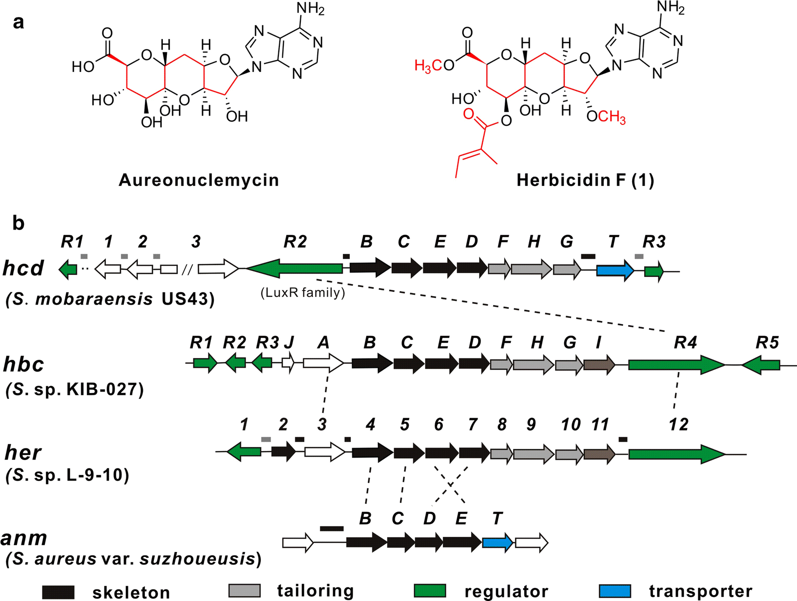 Fig. 1