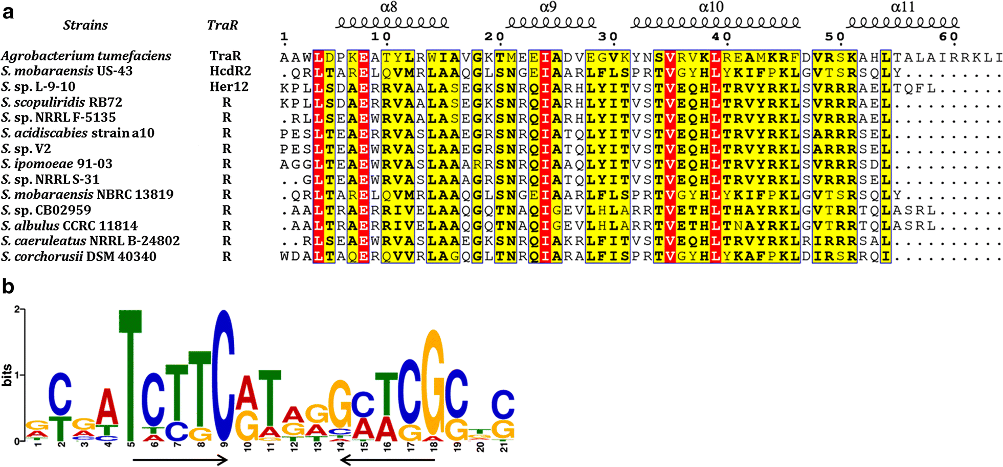 Exploring novel herbicidin analogues by transcriptional regulator  overexpression and MS/MS molecular networking | Microbial Cell Factories |  Full Text