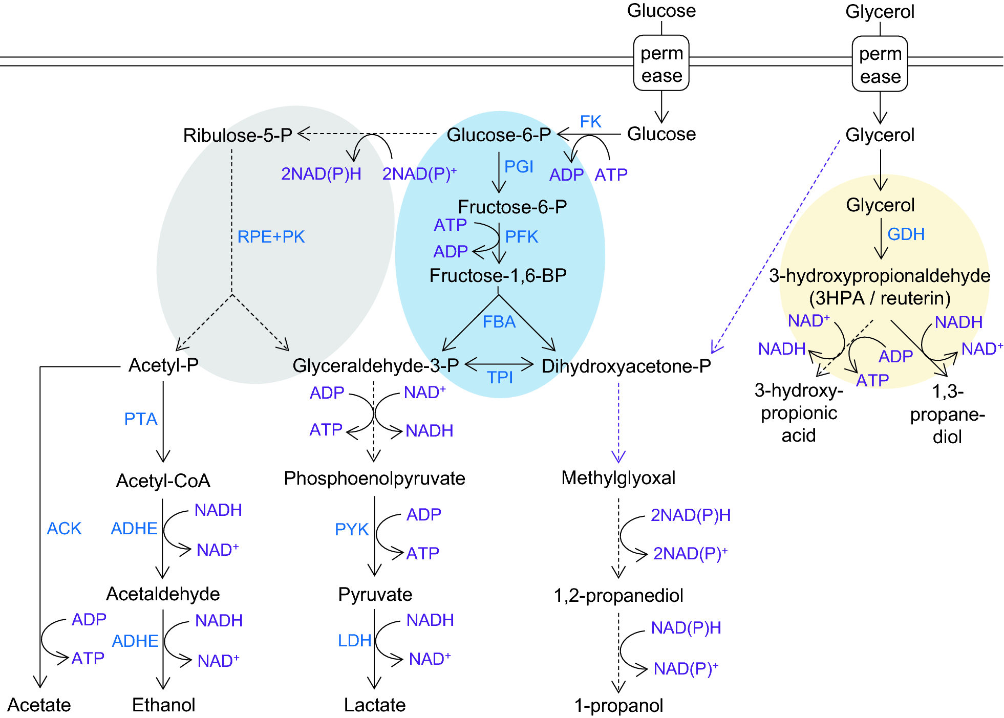 Fig. 1