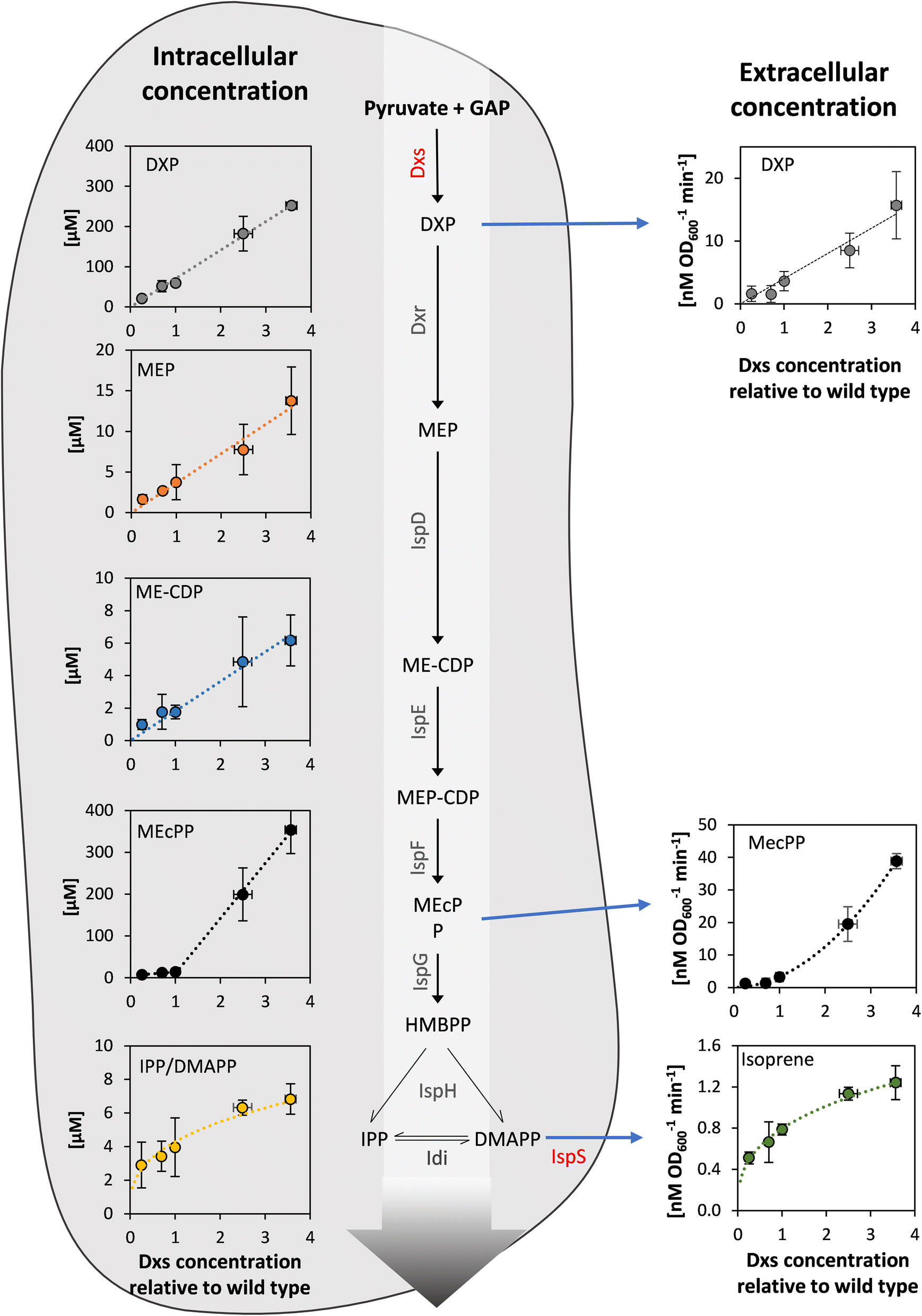 Fig. 8