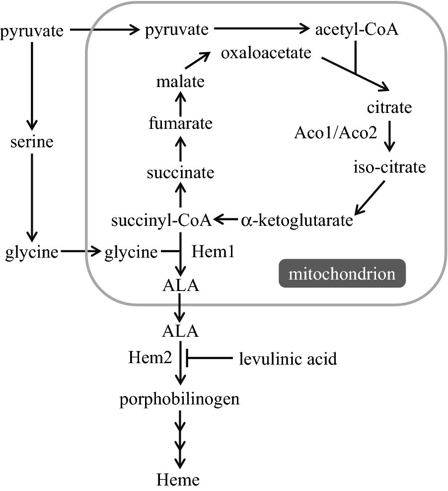 Fig. 1