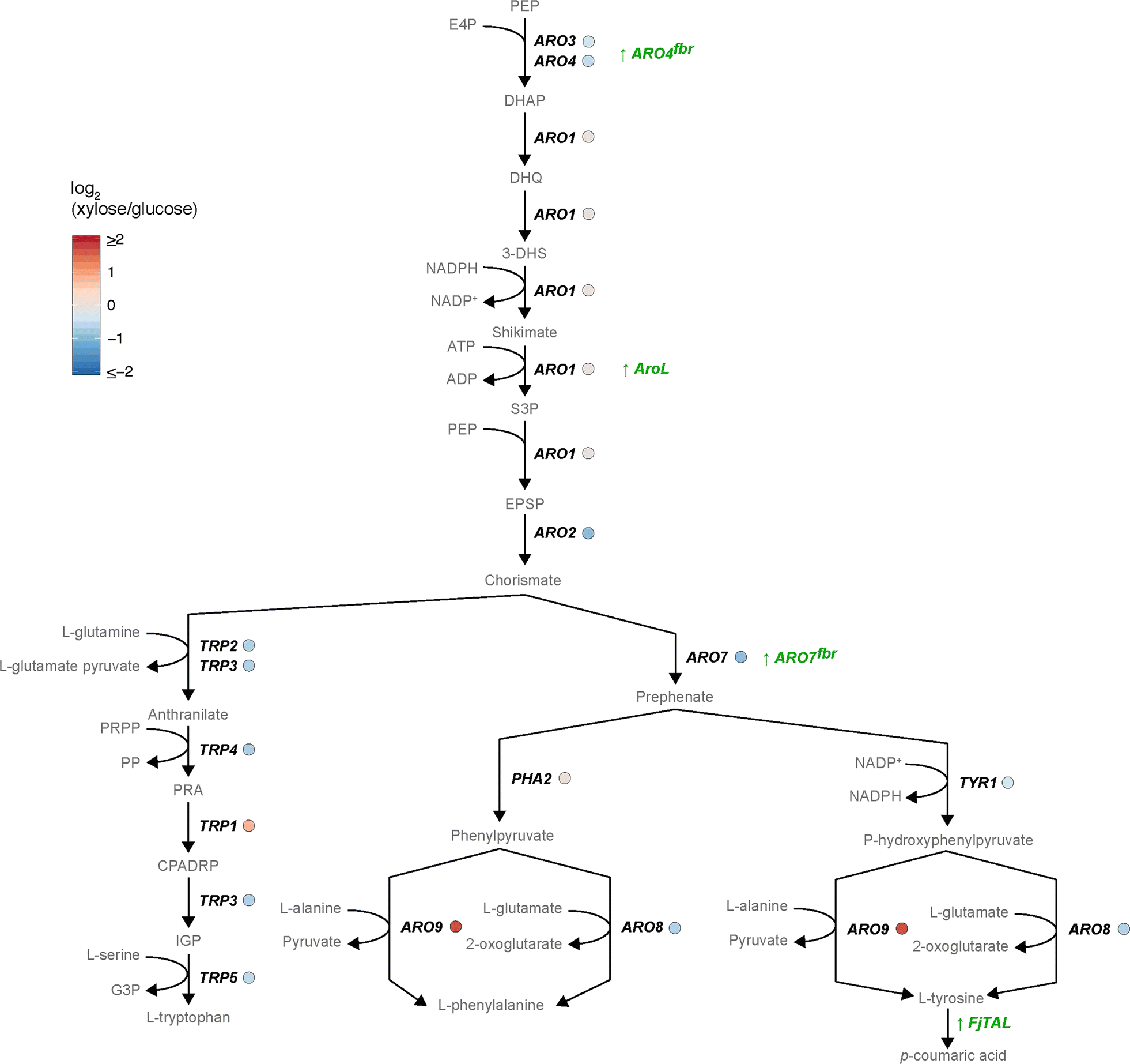 Fig. 4