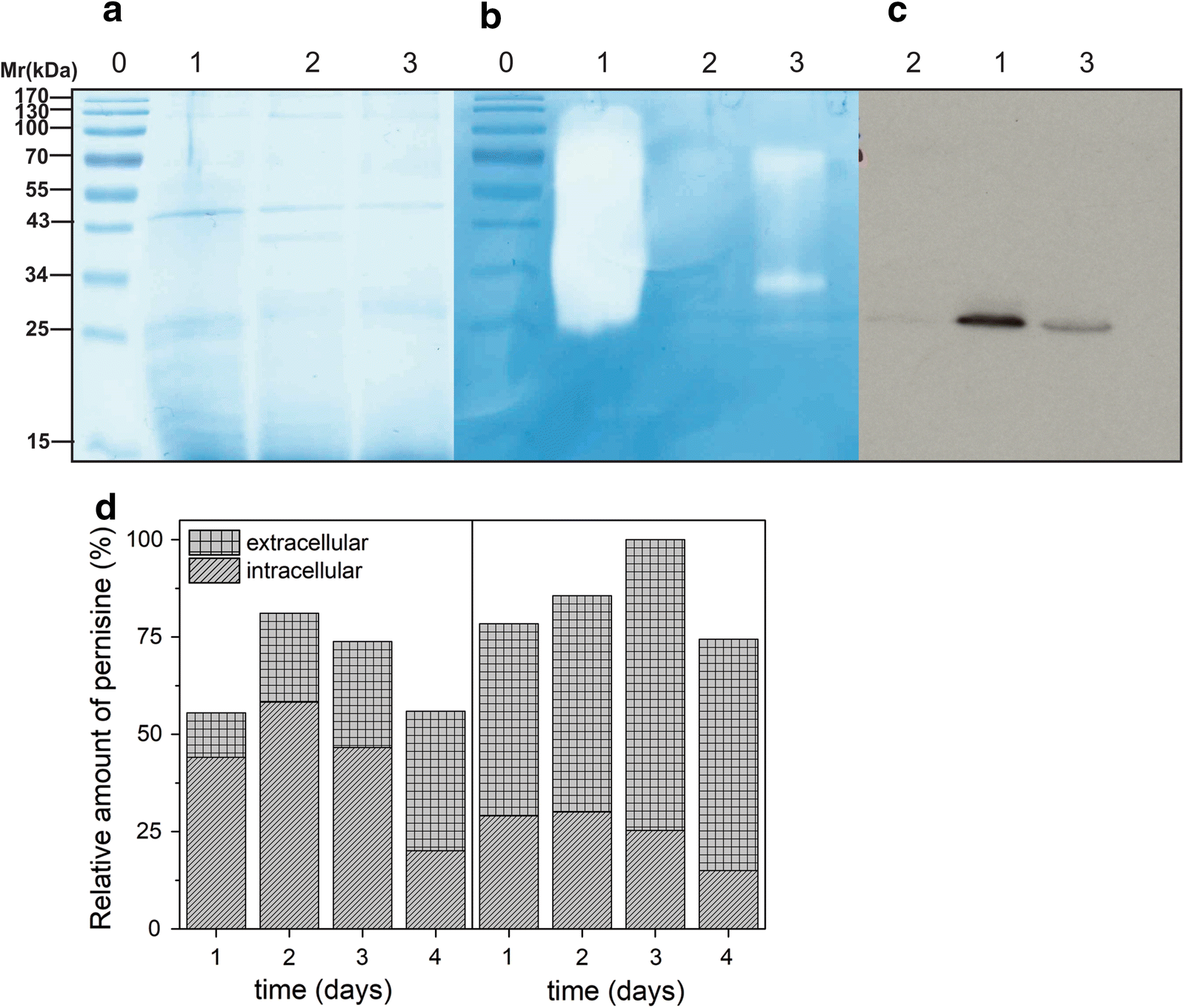 Fig. 5